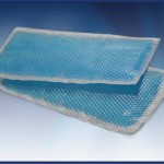 1455186_696496300384639_1285859233_n